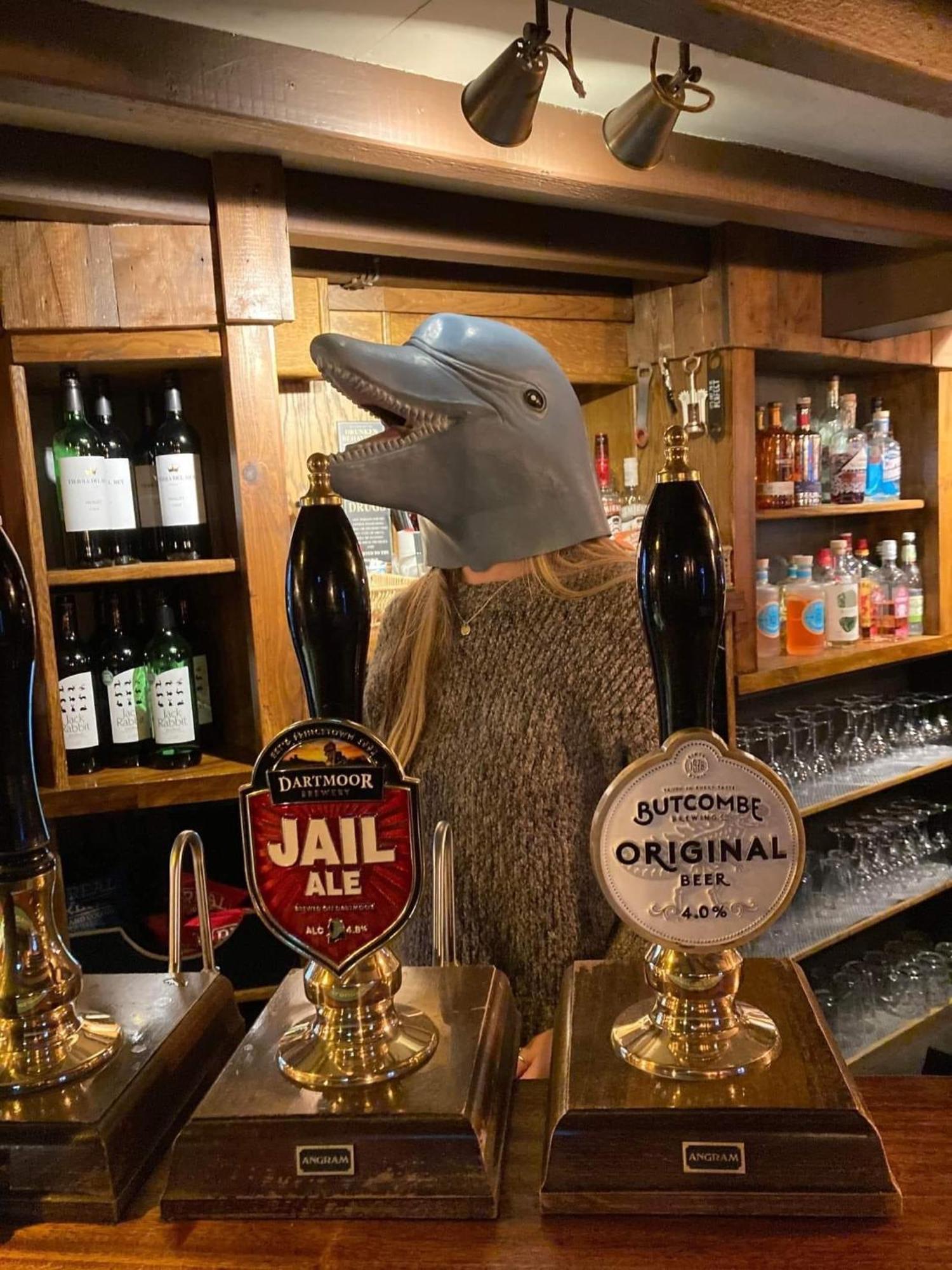 The Dolphin Inn 金斯布里奇 客房 照片
